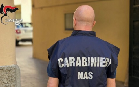Peste suina: sequestrati animali irregolari in materia di identificazione