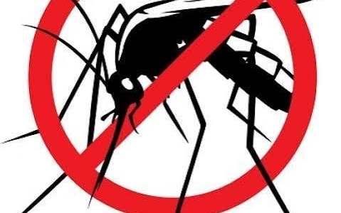 Non è dengue: sospesi i trattamenti di disinfestazione