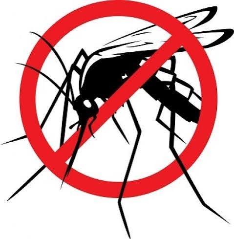 Non è dengue: sospesi i trattamenti di disinfestazione