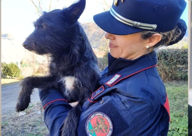 Salvato “Titano” cane vittima di segregazioni e maltrattamenti