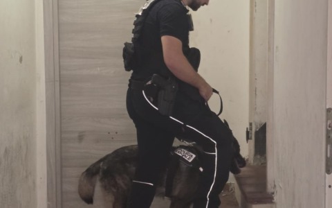 Polizia locale e Polizia di Stato: controlli congiunti in centro storico con l’ausilio dell’Unità cinofila provinciale