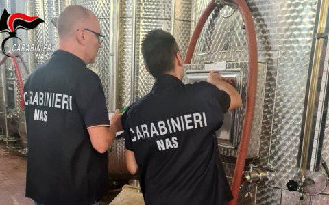 Nas di Parma, controlli nel settore vitivinicolo: trovate irregolarità igienico-sanitarie e nell’informazione dei consumatori
