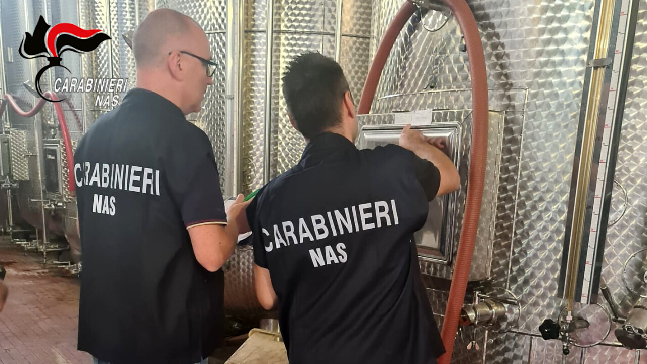 Nas di Parma, controlli nel settore vitivinicolo: trovate irregolarità igienico-sanitarie e nell’informazione dei consumatori