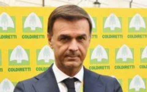 L’Europa deve mettere in campo un nuovo Pnrr straordinario per l’agricoltura
