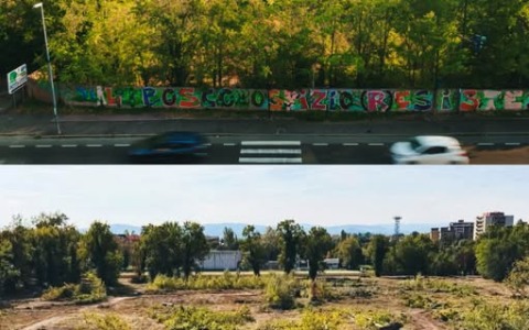 Bosco Ospizio: stop all’abbattimento di nuovi alberi